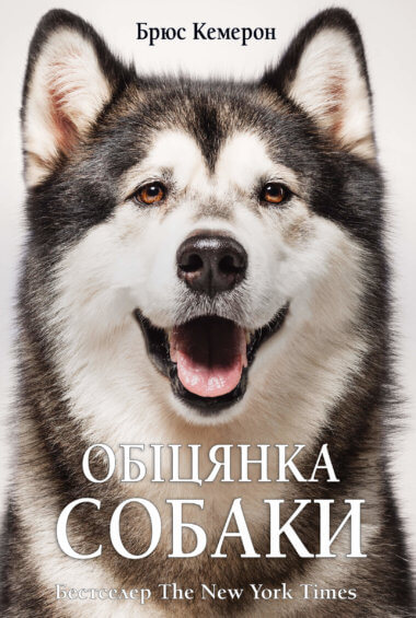 Обіцянка собаки. Брюс Кемерон